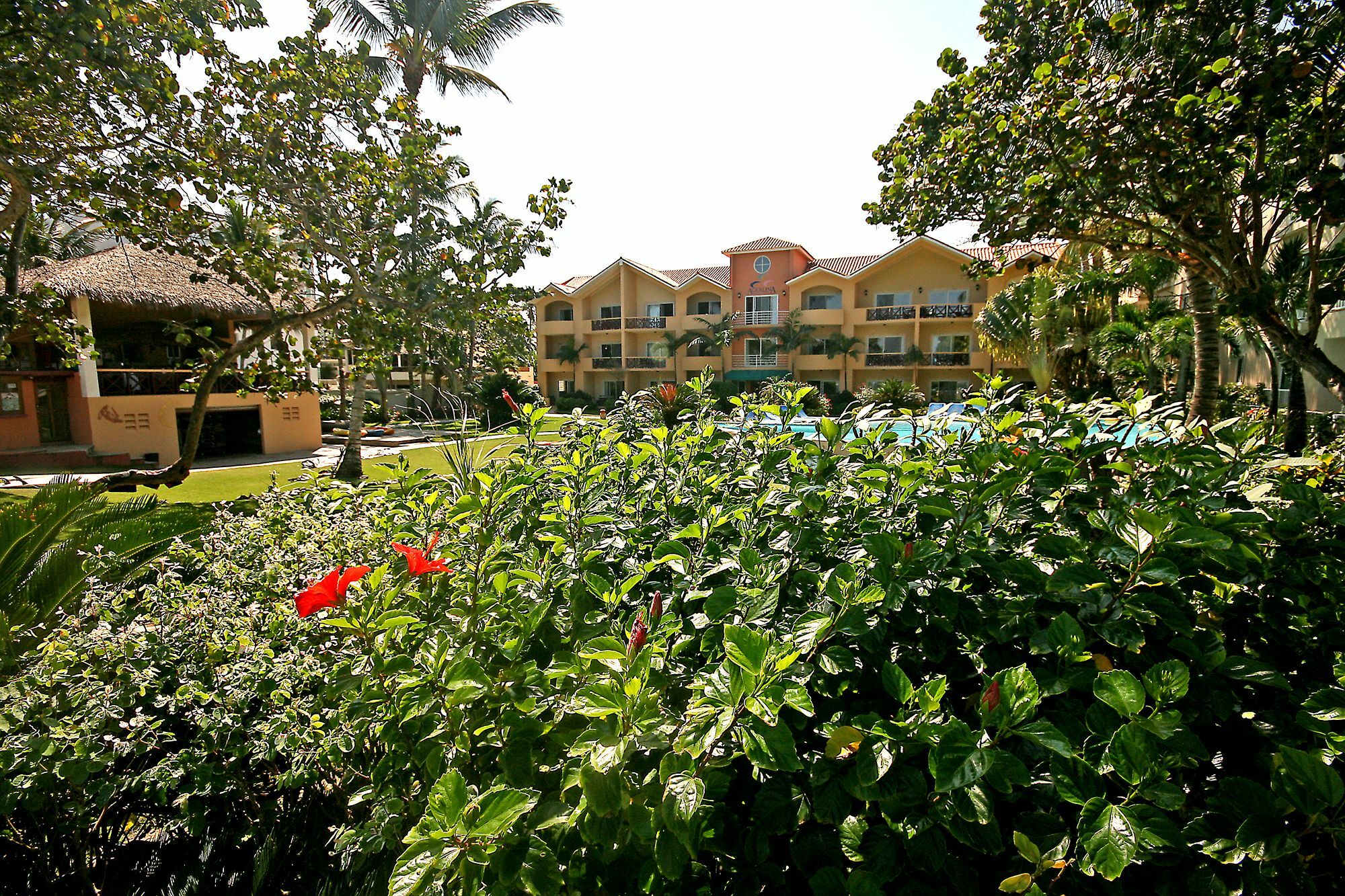 Agualina Kite Resort Cabarete Bagian luar foto